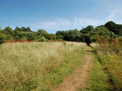 Picture 39